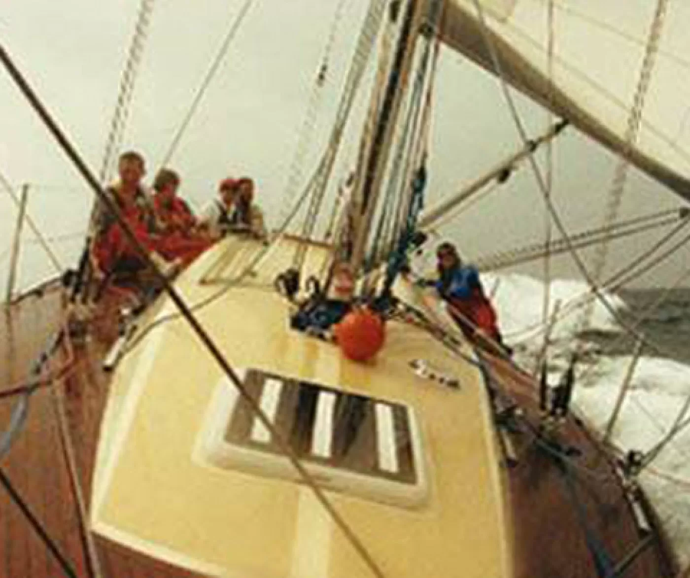 Zest 3